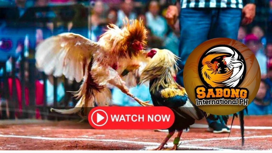 where to bet on champions league